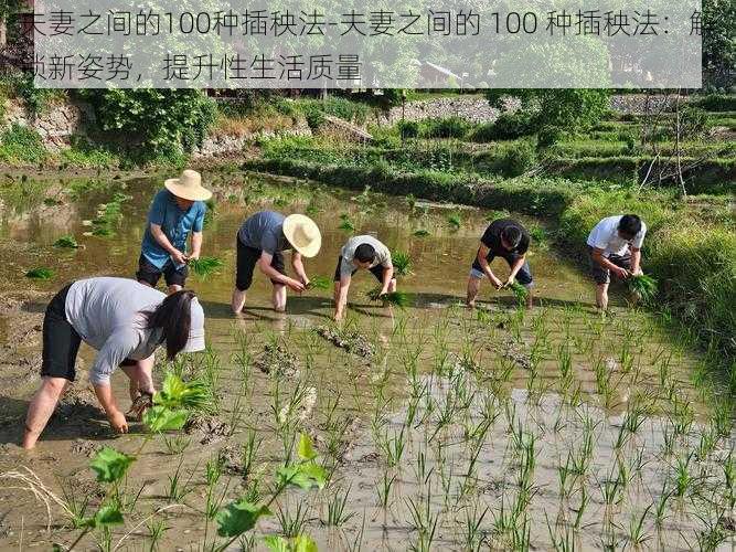 夫妻之间的100种插秧法-夫妻之间的 100 种插秧法：解锁新姿势，提升性生活质量