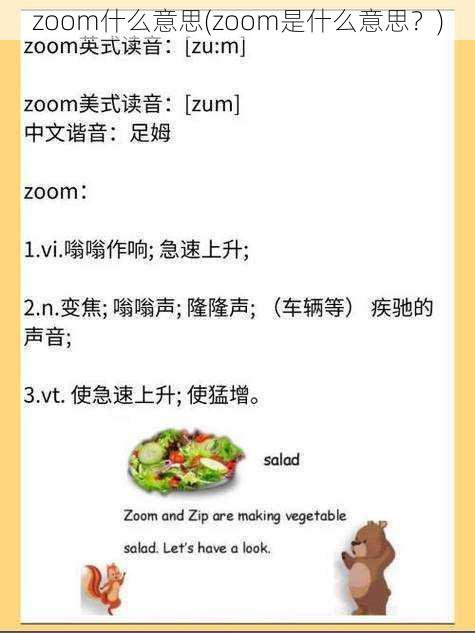 zoom什么意思(zoom是什么意思？)