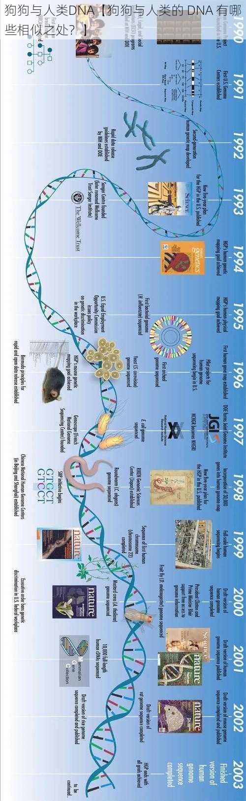 狗狗与人类DNA【狗狗与人类的 DNA 有哪些相似之处？】