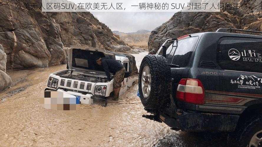 欧美无人区码SUV;在欧美无人区，一辆神秘的 SUV 引起了人们的注意