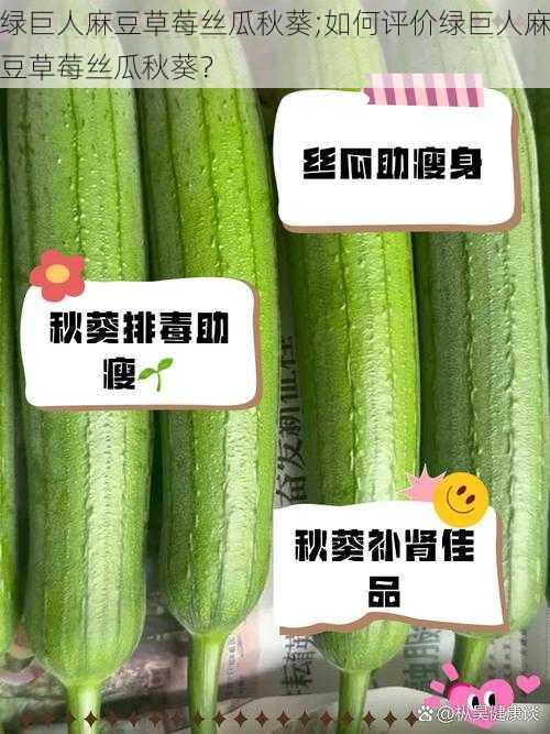 绿巨人麻豆草莓丝瓜秋葵;如何评价绿巨人麻豆草莓丝瓜秋葵？