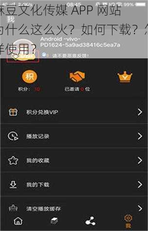 麻豆文化传媒 APP 网站为什么这么火？如何下载？怎样使用？