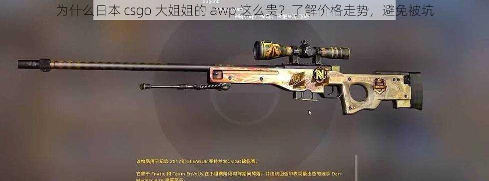 为什么日本 csgo 大姐姐的 awp 这么贵？了解价格走势，避免被坑