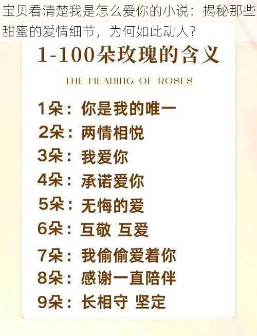 宝贝看清楚我是怎么爱你的小说：揭秘那些甜蜜的爱情细节，为何如此动人？