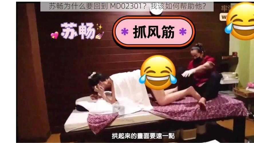 苏畅为什么要回到 MD02301？我该如何帮助他？