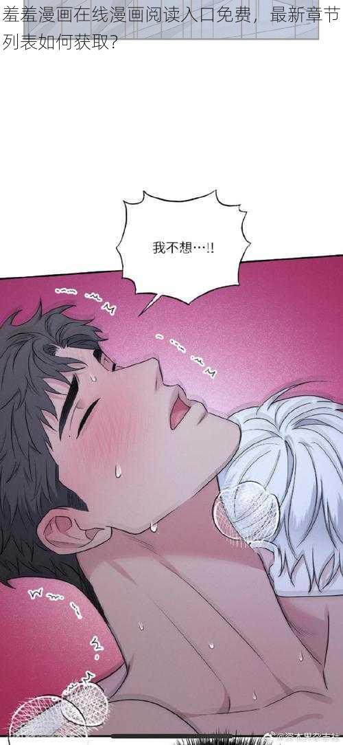 羞羞漫画在线漫画阅读入口免费，最新章节列表如何获取？