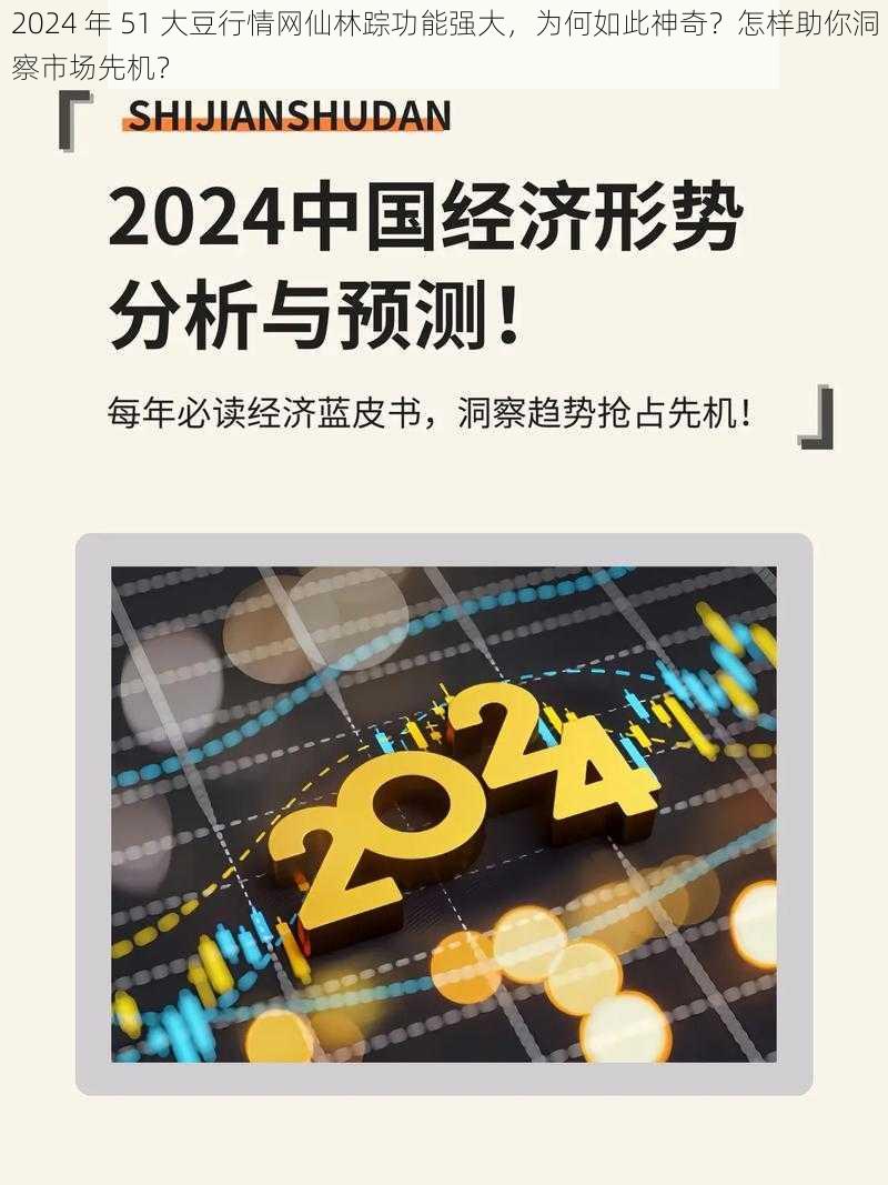 2024 年 51 大豆行情网仙林踪功能强大，为何如此神奇？怎样助你洞察市场先机？