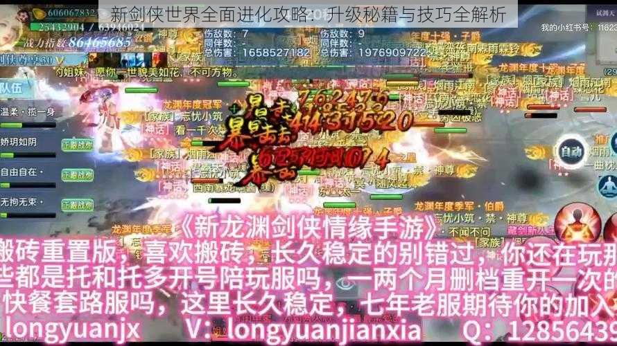 新剑侠世界全面进化攻略：升级秘籍与技巧全解析