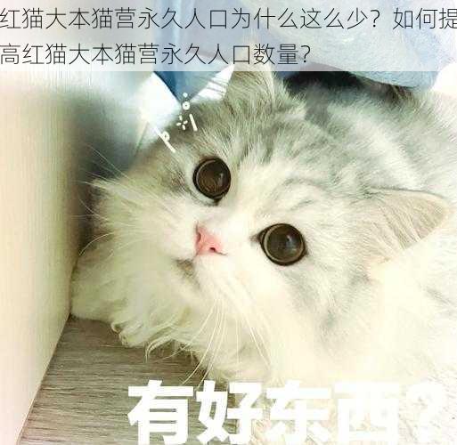 红猫大本猫营永久人口为什么这么少？如何提高红猫大本猫营永久人口数量？