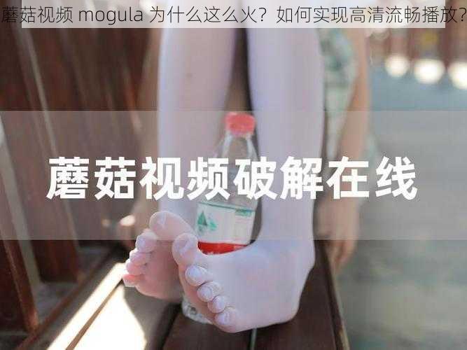 蘑菇视频 mogula 为什么这么火？如何实现高清流畅播放？