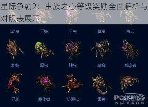 星际争霸2：虫族之心等级奖励全面解析与对照表展示