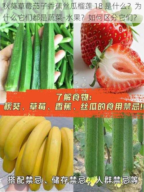 秋葵草莓茄子香蕉丝瓜榴莲 18 是什么？为什么它们都是蔬菜-水果？如何区分它们？