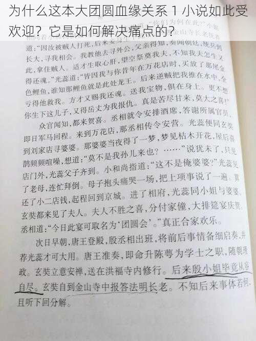 为什么这本大团圆血缘关系 1 小说如此受欢迎？它是如何解决痛点的？