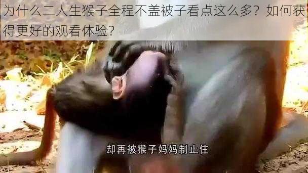 为什么二人生猴子全程不盖被子看点这么多？如何获得更好的观看体验？