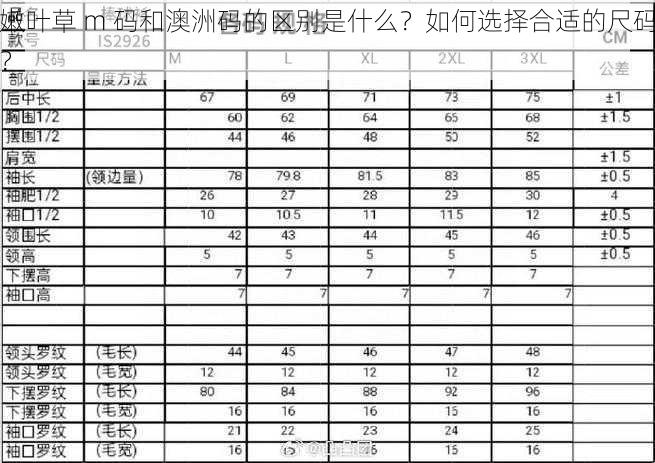 嫩叶草 m 码和澳洲码的区别是什么？如何选择合适的尺码？