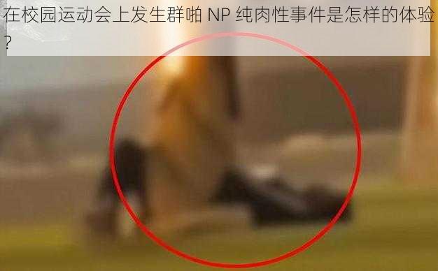 在校园运动会上发生群啪 NP 纯肉性事件是怎样的体验？