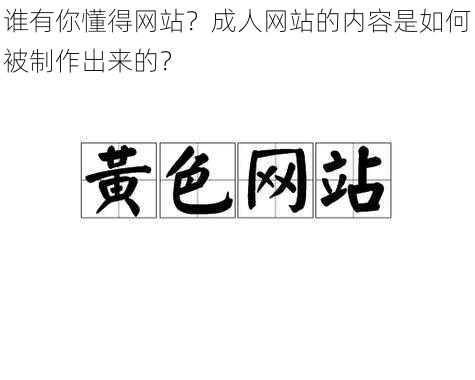 谁有你懂得网站？成人网站的内容是如何被制作出来的？