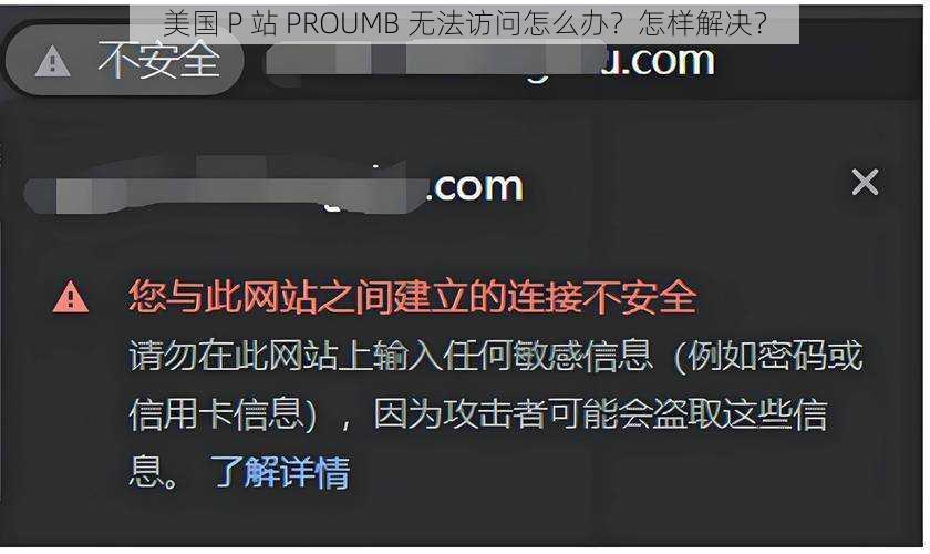 美国 P 站 PROUMB 无法访问怎么办？怎样解决？