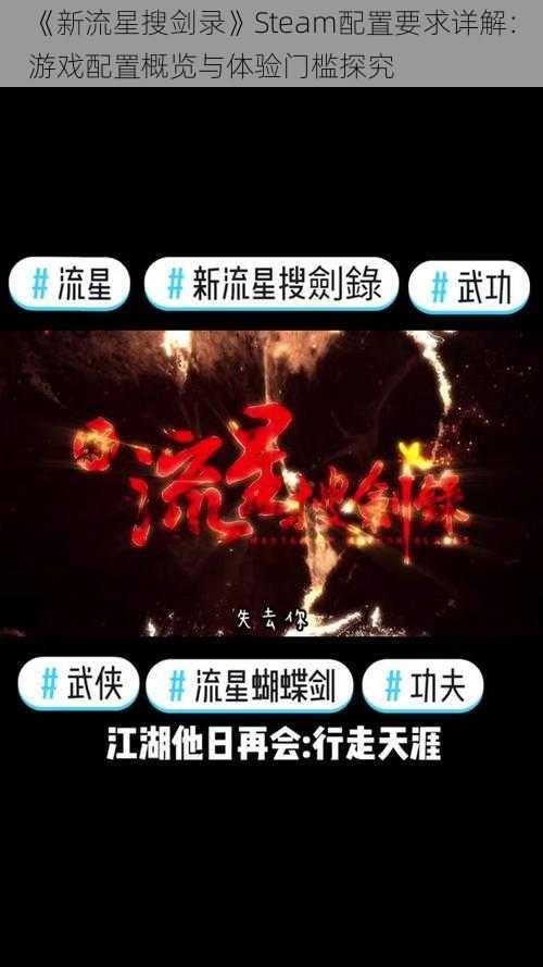 《新流星搜剑录》Steam配置要求详解：游戏配置概览与体验门槛探究